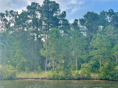 Location...Location...Location! Imagine building your WATERFRONT on Carolina Lakes Country Club in North Carolina - for sale on GolfHomes.com, golf home, golf lot