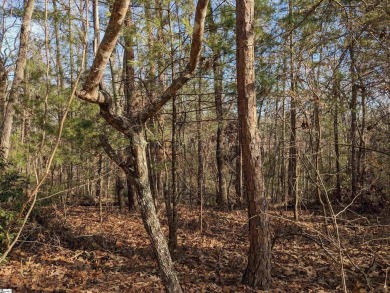 Come build your dream lake getaway on this beautiful interior on  in South Carolina - for sale on GolfHomes.com, golf home, golf lot