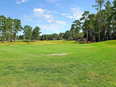 Welcome to 203 Yeamans Way - where comfort, style, and on The Club at Pine Forest  in South Carolina - for sale on GolfHomes.com, golf home, golf lot