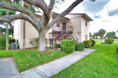 55+ Community - The 19th Hole - Direct Golf View - Owner on Mallards Landing Golf Course in Florida - for sale on GolfHomes.com, golf home, golf lot
