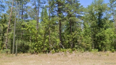 This prime multi-family zoned lot is ready for your on Sugarmill Woods Golf and Country Club in Florida - for sale on GolfHomes.com, golf home, golf lot