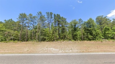 This prime multi-family zoned lot is ready for your on Sugarmill Woods Golf and Country Club in Florida - for sale on GolfHomes.com, golf home, golf lot