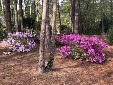 **Custom Built - Office - Hobby Room - 1.37 Acres** Discover on The Golf Club At Cedar Creek in South Carolina - for sale on GolfHomes.com, golf home, golf lot