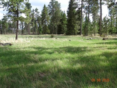 This Property is Listed by Todd Fierro / Great Peaks Realty on Lead Country Club in South Dakota - for sale on GolfHomes.com, golf home, golf lot