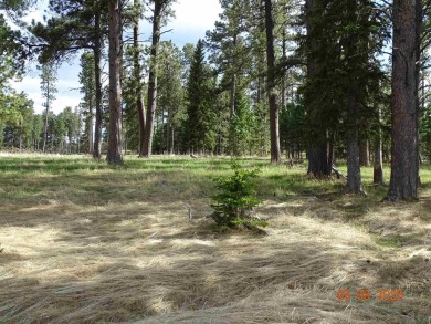 This Property is Listed by Todd Fierro / Great Peaks Realty on Lead Country Club in South Dakota - for sale on GolfHomes.com, golf home, golf lot