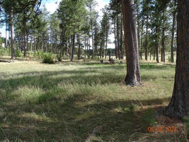 This Property is Listed by Todd Fierro / Great Peaks Realty on Lead Country Club in South Dakota - for sale on GolfHomes.com, golf home, golf lot