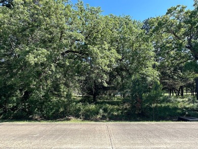Beautiful 8,400 square foot lot available to build your dream on The Falls Resort and Club in Texas - for sale on GolfHomes.com, golf home, golf lot