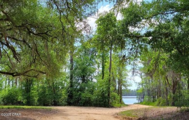 Discover the perfect spot to build your dream home on this 0 on Sunny Hills Golf and Country Club in Florida - for sale on GolfHomes.com, golf home, golf lot
