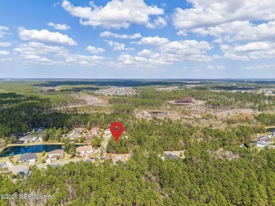 Build your dream home on this prime 3/4 acre lot, perfectly on Eagle Landing Golf Club in Florida - for sale on GolfHomes.com, golf home, golf lot