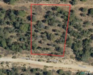 Land for Sale in Southern New Mexico  Discover your slice of on Timberon Golf Course in New Mexico - for sale on GolfHomes.com, golf home, golf lot