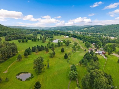 This 18 hole golf course with 318 acres is located in Candor NY on Catatonk Golf Club, Inc. in New York - for sale on GolfHomes.com, golf home, golf lot