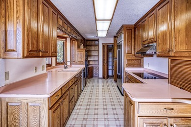 BREATHTAKING Mountain Views! Majestic 2 story home with plenty on DeSoto Golf Course in Arkansas - for sale on GolfHomes.com, golf home, golf lot