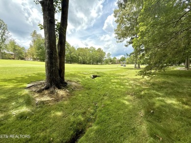 Golf Course Views, Timeless Charm  Room to Grow!

Set on the #2 on Heatherhurst Golf Course in Tennessee - for sale on GolfHomes.com, golf home, golf lot