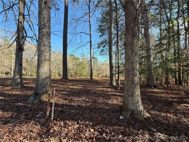 Welcome to an exceptional opportunity to build your dream home on Carolina Trace Country Club in North Carolina - for sale on GolfHomes.com, golf home, golf lot