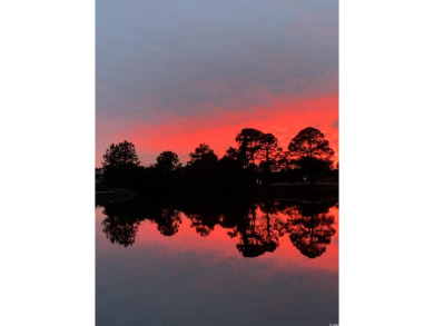 Welcome to this *like-new* meticulously maintained waterfront on Wild Wing Plantation in South Carolina - for sale on GolfHomes.com, golf home, golf lot