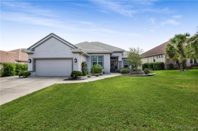 Welcome to this stunning custom-designed Newcastle model, where on Skyview At Terra Vista Golf and Country Club in Florida - for sale on GolfHomes.com, golf home, golf lot