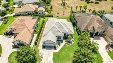 Welcome to this stunning custom-designed Newcastle model, where on Skyview At Terra Vista Golf and Country Club in Florida - for sale on GolfHomes.com, golf home, golf lot