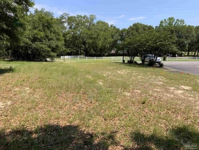 Build your dream home on this absolutely gorgeous lot in a well on Tanglewood Golf Club in Florida - for sale on GolfHomes.com, golf home, golf lot