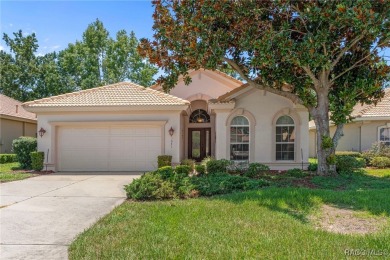 Carefree Living in Prestigious Terra Vista! Welcome to this on Skyview At Terra Vista Golf and Country Club in Florida - for sale on GolfHomes.com, golf home, golf lot