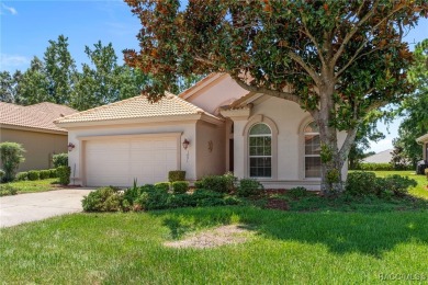 Carefree Living in Prestigious Terra Vista! Welcome to this on Skyview At Terra Vista Golf and Country Club in Florida - for sale on GolfHomes.com, golf home, golf lot