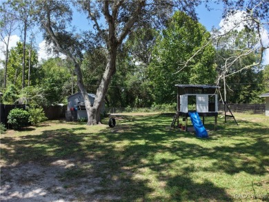 Unlock the potential in this nearly finished 4-bedroom, 2.5-bath on Citrus Springs Country Club in Florida - for sale on GolfHomes.com, golf home, golf lot