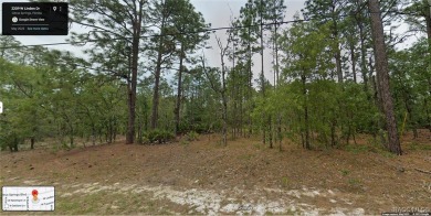 INVESTOR AND BUILDER ALERT!! 1/4 acre parcel in Citrus Springs!! on Citrus Springs Country Club in Florida - for sale on GolfHomes.com, golf home, golf lot