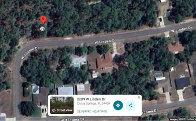 INVESTOR AND BUILDER ALERT!! 1/4 acre parcel in Citrus Springs!! on Citrus Springs Country Club in Florida - for sale on GolfHomes.com, golf home, golf lot