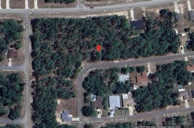 INVESTOR AND BUILDER ALERT!! 1/4 acre parcel in Citrus Springs!! on Citrus Springs Country Club in Florida - for sale on GolfHomes.com, golf home, golf lot