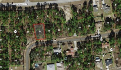 INVESTOR AND BUILDER ALERT!! 1/4 acre parcel in Citrus Springs!! on Citrus Springs Country Club in Florida - for sale on GolfHomes.com, golf home, golf lot