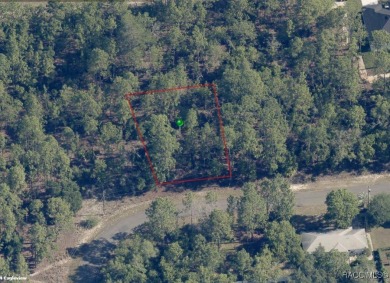 INVESTOR AND BUILDER ALERT!! 1/4 acre parcel in Citrus Springs!! on Citrus Springs Country Club in Florida - for sale on GolfHomes.com, golf home, golf lot