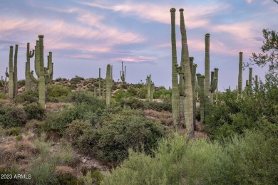 This is arguably the best remaining DM lot with magnificent city on Desert Mountain Club - Apache Golf Course in Arizona - for sale on GolfHomes.com, golf home, golf lot