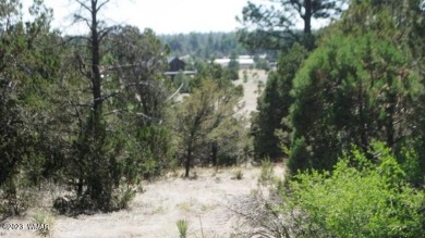Perfect lot for building that custom dream home or summer on Pine Meadows Country Club in Arizona - for sale on GolfHomes.com, golf home, golf lot