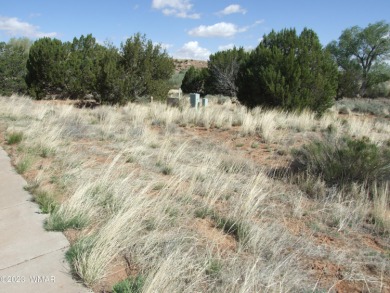 Great building lot in Frontier Estates. Great neighborhood and on Snowflake Municipal Golf Course in Arizona - for sale on GolfHomes.com, golf home, golf lot
