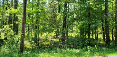 Build your dream home here! Beautiful surveyed 8.4 acres with 2 on Thunderhart Golf Course in New York - for sale on GolfHomes.com, golf home, golf lot