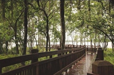 Harmony Community in St. Cloud, FL is a picturesque on Harmony Golf Preserve in Florida - for sale on GolfHomes.com, golf home, golf lot