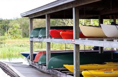 Harmony Community in St. Cloud, FL is a picturesque on Harmony Golf Preserve in Florida - for sale on GolfHomes.com, golf home, golf lot