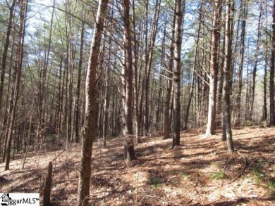 Private and secluded 2.7 acre tract with mature forests all on The Cliffs At Keowee Vineyards Golf Club in South Carolina - for sale on GolfHomes.com, golf home, golf lot