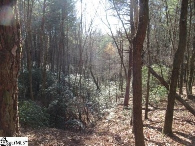 Private and secluded 2.7 acre tract with mature forests all on The Cliffs At Keowee Vineyards Golf Club in South Carolina - for sale on GolfHomes.com, golf home, golf lot