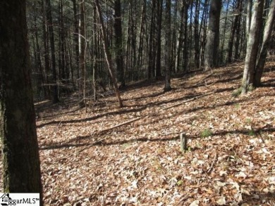 Private and secluded 2.7 acre tract with mature forests all on The Cliffs At Keowee Vineyards Golf Club in South Carolina - for sale on GolfHomes.com, golf home, golf lot