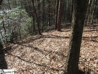 Private and secluded 2.7 acre tract with mature forests all on The Cliffs At Keowee Vineyards Golf Club in South Carolina - for sale on GolfHomes.com, golf home, golf lot