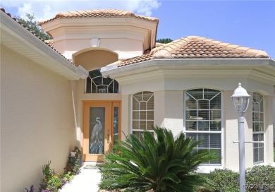 Terra Vista *CAREFREE* POOL HOME THAT'S VALUE PRICED! Located in on Skyview At Terra Vista Golf and Country Club in Florida - for sale on GolfHomes.com, golf home, golf lot