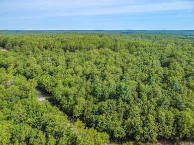 Welcome to Market a Rare Cherokee Village Portfolio featuring 22 on  in Arkansas - for sale on GolfHomes.com, golf home, golf lot