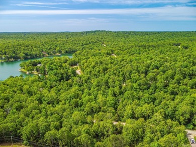 Welcome to Market a Rare Cherokee Village Portfolio featuring 22 on  in Arkansas - for sale on GolfHomes.com, golf home, golf lot