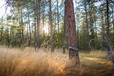 This gorgeous, 9+ usable acres offers the best of both worlds -- on Wilderness Club in Montana - for sale on GolfHomes.com, golf home, golf lot