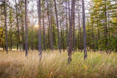 This gorgeous, 9+ usable acres offers the best of both worlds -- on Wilderness Club in Montana - for sale on GolfHomes.com, golf home, golf lot