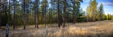 This gorgeous, 9+ usable acres offers the best of both worlds -- on Wilderness Club in Montana - for sale on GolfHomes.com, golf home, golf lot