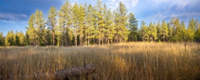 This gorgeous, 9+ usable acres offers the best of both worlds -- on Wilderness Club in Montana - for sale on GolfHomes.com, golf home, golf lot