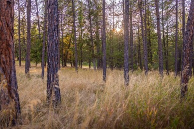 This gorgeous, 9+ usable acres offers the best of both worlds -- on Wilderness Club in Montana - for sale on GolfHomes.com, golf home, golf lot