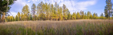 This gorgeous, 9+ usable acres offers the best of both worlds -- on Wilderness Club in Montana - for sale on GolfHomes.com, golf home, golf lot