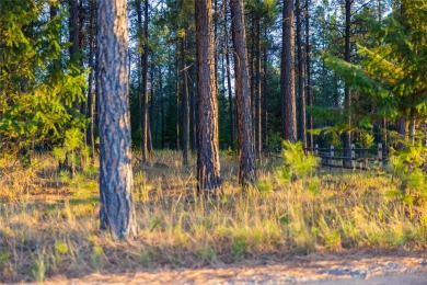 This gorgeous, 9+ usable acres offers the best of both worlds -- on Wilderness Club in Montana - for sale on GolfHomes.com, golf home, golf lot